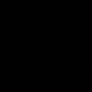 Meet your Posher, Victor